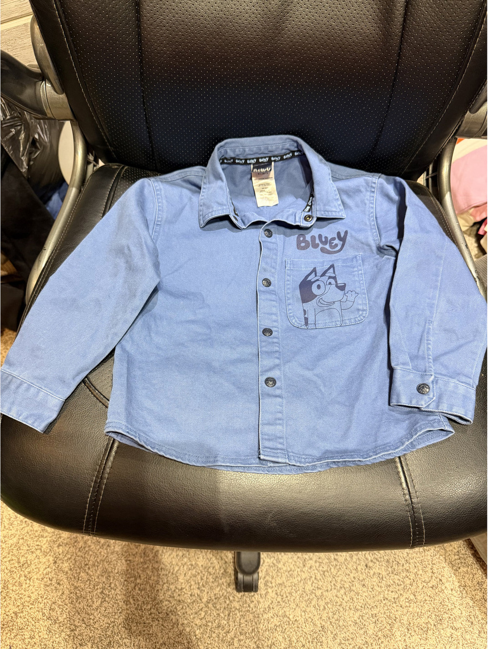 Bluey Boys' 5T Long Sleeve Button-Up Shirt